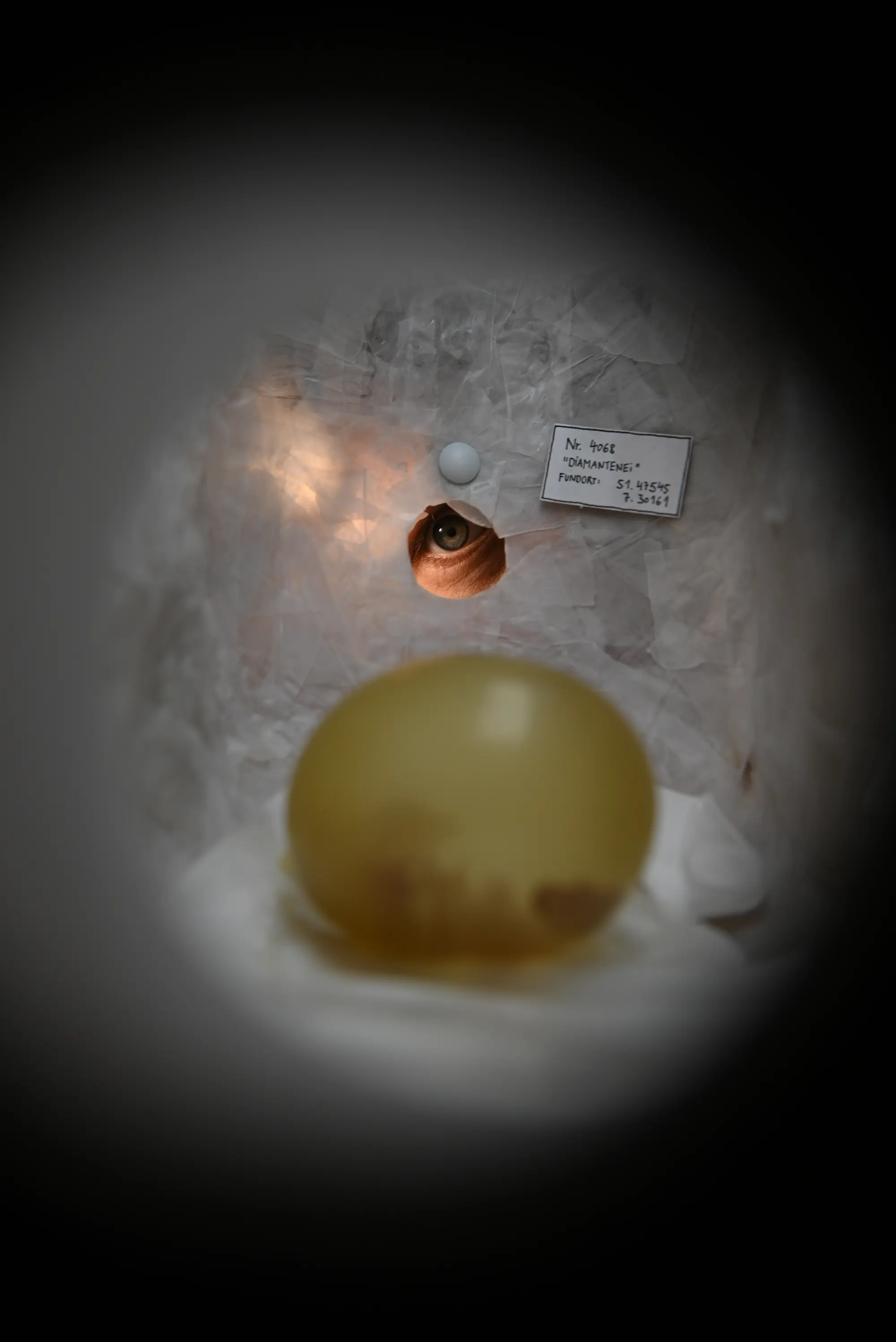 Die Begegnung mit Oltre Terra